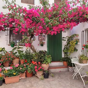 La Buganvilla De Juana Y Antonio Casares